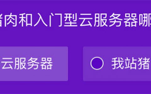 4公斤猪肉和入门型云服务器哪个更贵？