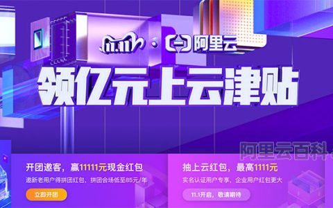 阿里云双十一活动攻略（服务器拼团/开宝箱/抢1111红包/充值万元代金券）